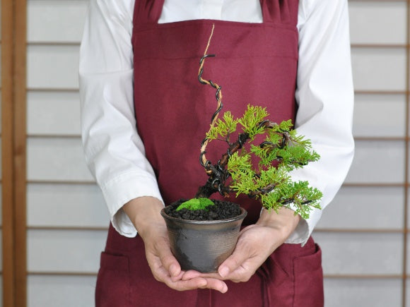 時代松皮手作り盆栽鉢希少植木鉢山野草鉢3つ足25cm木肌作り - 美術品