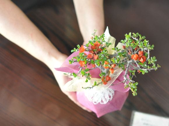 母の日の花盆栽 枝ぶりの良い長寿梅 樹齢10年| プレゼントに盆栽妙 – 盆栽妙 本店